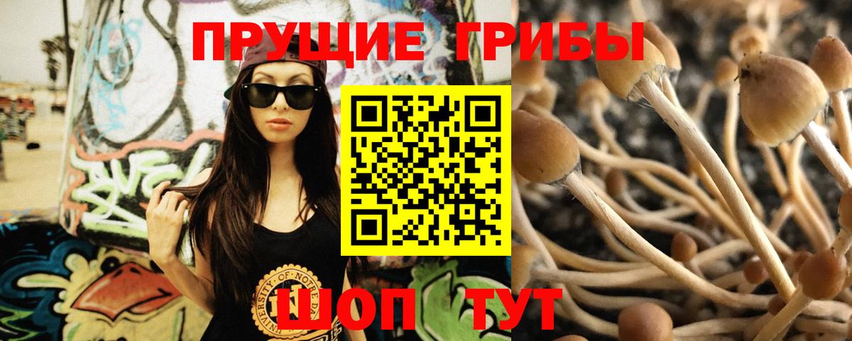 Мариинск  Галлюциногенные грибы Magic Shrooms  Вход с VPN 